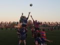 160. 46443356 1153277428170825 4198631961234767872 o