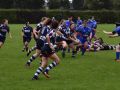 11. 40116305 1098873496944552 1491144316536487936 n